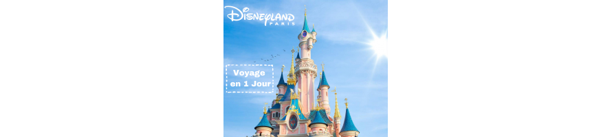 Voyages d'un jour Disneyland Paris