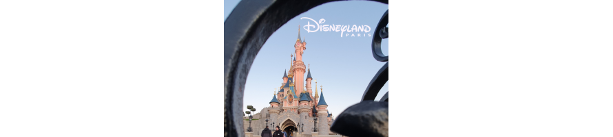 voyage d'un jour ou week-end à Disneyland Paris ou autres parcs d'attractions