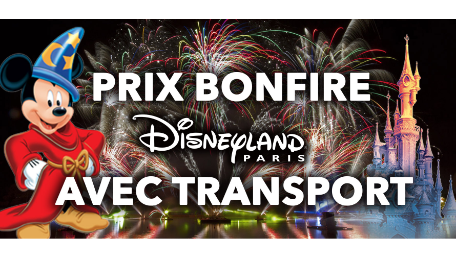 Les prix les + bas pour Disneyland Paris en 2019 - Transport INCLUS